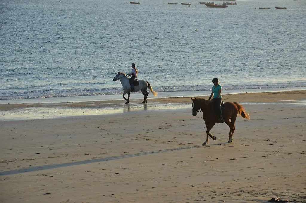 Logis Hotel & Restaurant Les Mouettes - Larmor Plage, Proche De Lorient
